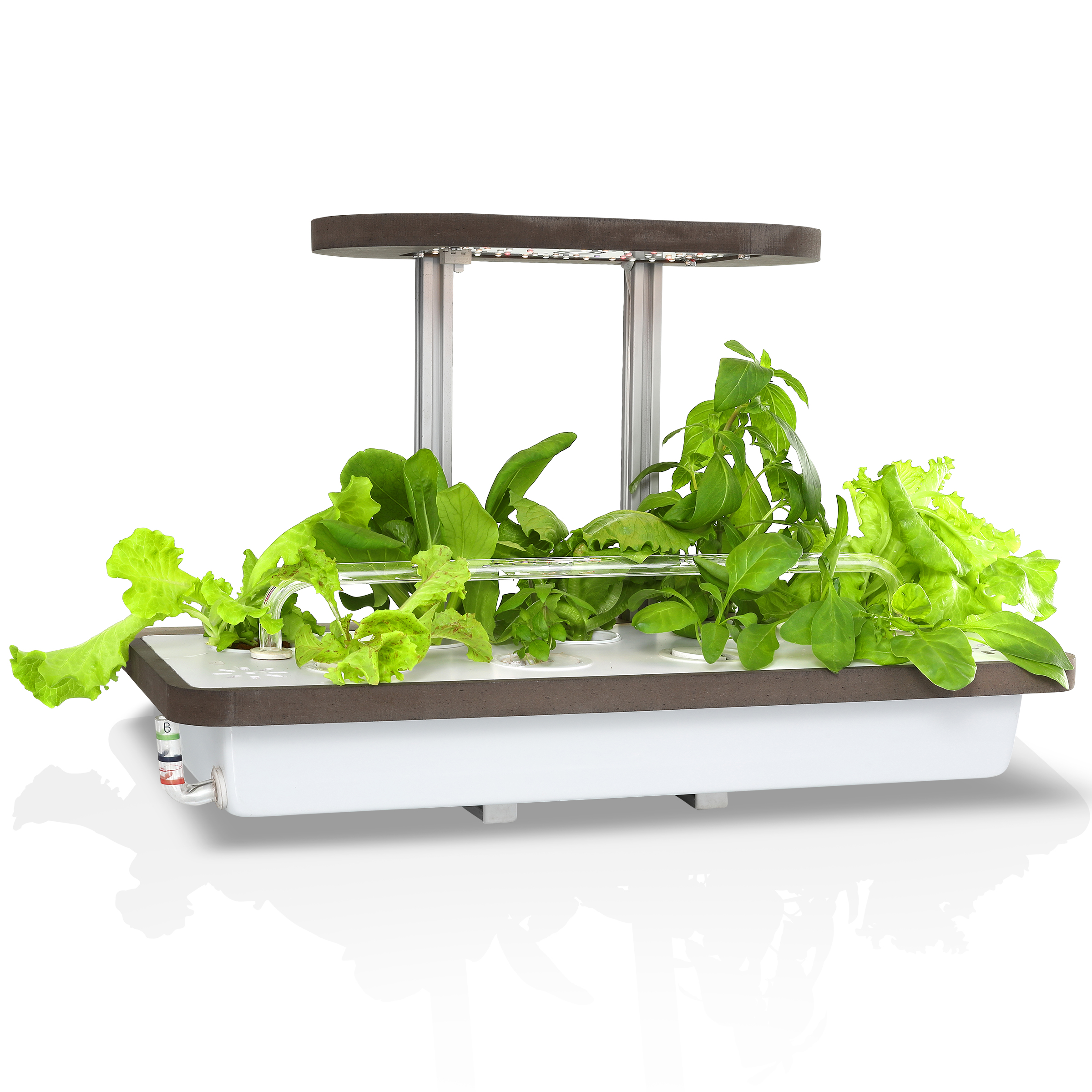 Modern kitchen product photography with clean white background and fresh green styling